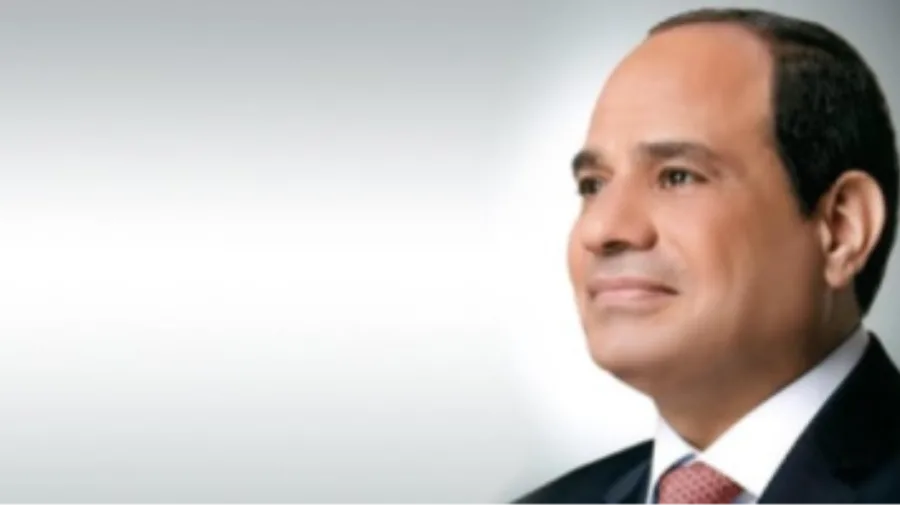 الرئيس السيسي يسلط الضوء على أهمية مشاريع البتروكيماويات والصناعات المعدنية الرئيس السيسي يسلط الضوء على أهمية مشاريع البتروكيماويات والصناعات المعدنية