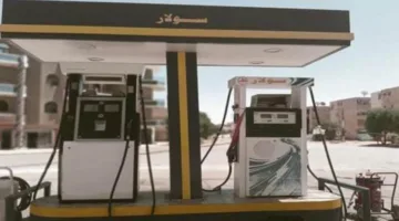 الهيئة المصرية العامة للبترول تكشف عن نتائج التفتيش الدوري على محطات الوقود