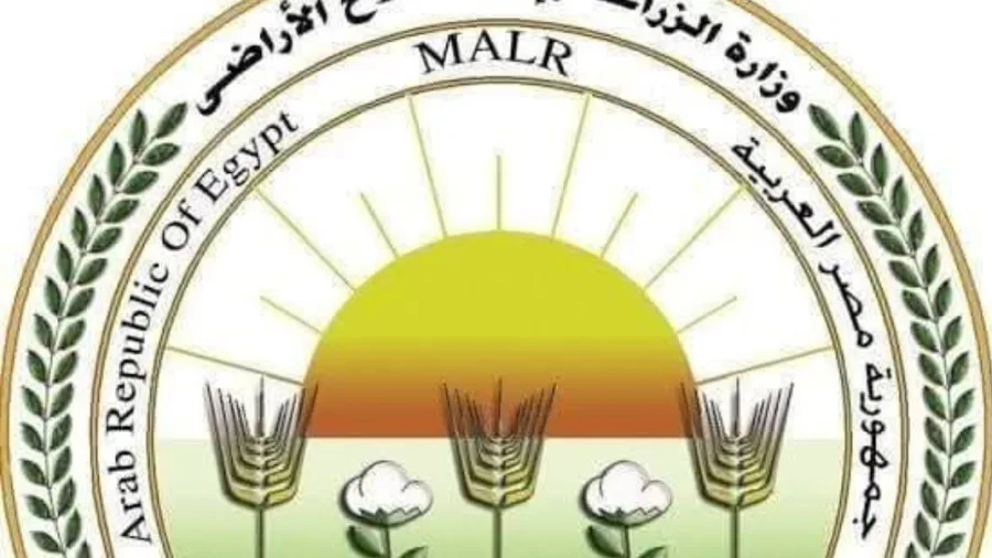 وزارة الزراعة تُعلن عن موافقة الاتحاد الأوروبي على تسهيل إجراءات تصدير البطاطس المصرية