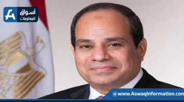 الرئيس السيسي يطلب تعزيز الجهود لتسريع تنفيذ مشروعات إنشاء المحاور.