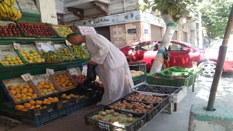 الفواكه غير متاحة لكثير من الناس والخضروات تساهم في تخفيف الأسعار في الأسواق الشعبية الفواكه غير متاحة لكثير من الناس والخضروات تساهم في تخفيف الأسعار في الأسواق الشعبية
