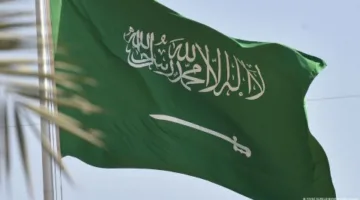 ما هي العوامل التي أدت إلى زيادة الإعدامات في السعودية؟