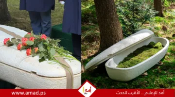شركة هولندية تطور النعش الأول صديق للبيئة