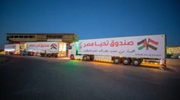 ما الأسباب الكامنة وراء حملة “التحريض” ضد مصر؟