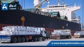 استقبال 66967 طنًا من البضائع في ميناء دمياط، بما في ذلك الذرة والقمح.