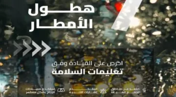 الطرق تشدد على أهمية الالتزام بتعليمات السلامة أثناء القيادة
