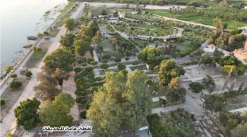 محافظة المنيا تقدم فرص استثمار مميزة في “الحديقة الدولية”.. اكتشف الشروط المطلوبة.