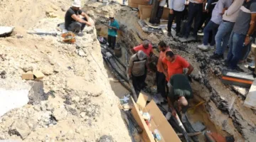 محافظة الجيزة: عمل جزئي لمحطة مياه جزيرة الدهب