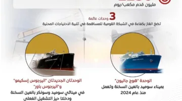 عاجل | بالرسوم البيانية: الحكومة تضمن توافر الغاز لجميع القطاعات عبر وحدات التغييز