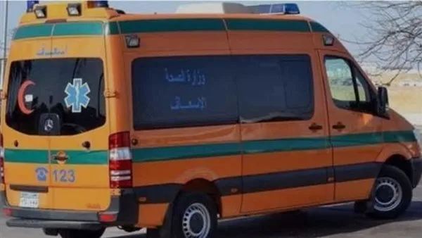 وفاة طفلة بسبب انهيار جدار في قرية السمطا بقنا وفاة طفلة بسبب انهيار جدار في قرية السمطا بقنا