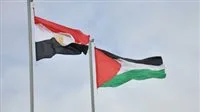 ما السبب وراء زيادة الهجمات المثيرة للجدل ضد دور مصر في القضية الفلسطينية؟