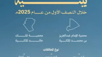 سجلت أكثر من 370 انتهاكًا بيئيًا في النصف الأول من السنة الحالية.