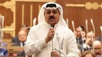 “أبو حرب”: مصر في الصدارة لدعم غزة وتتحمل تكاليف إنسانية وسياسية لحماية الفلسطينيين