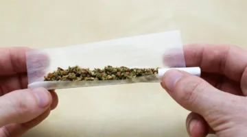 حكم تناول الحشيش والعقوبات الناتجة عنه.. إجابة دار الإفتاء