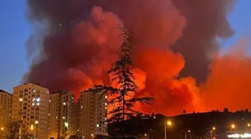 مساعي حثيثة للحد من حرائق الغابات في مناطق متعددة من تركيا