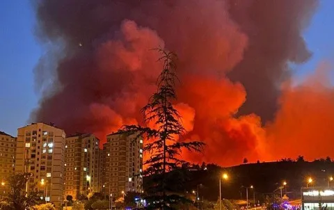 مساعي حثيثة للحد من حرائق الغابات في مناطق متعددة من تركيا