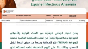 وقاء يعلن رسميًا عن خلو المملكة من مرض أنيميا الخيل المعدي