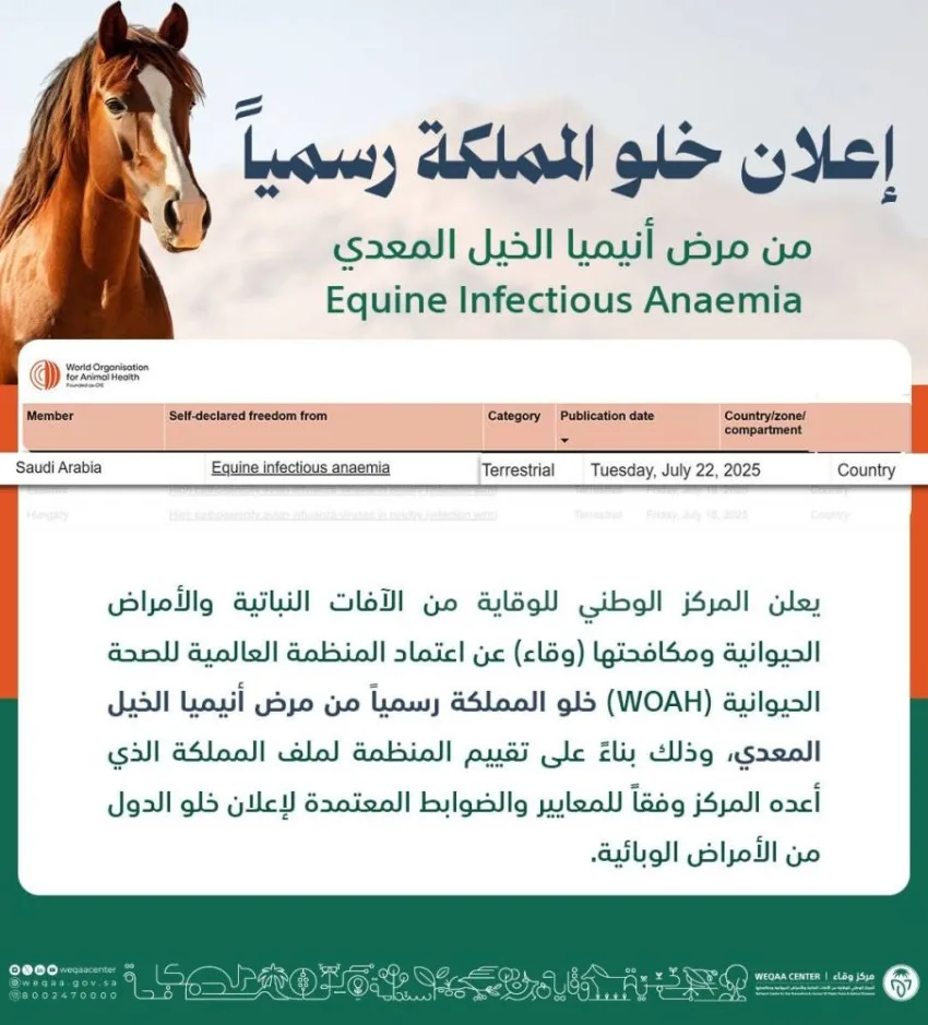وقاء يعلن رسميًا عن خلو المملكة من مرض أنيميا الخيل المعدي