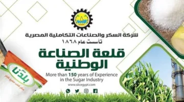 الصناعات التكاملية المصرية تراجع خطط إقامة مصنع سكر من البنجر في السودان باستثمار قدره 350 مليون دولار