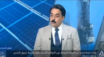 خبير اقتصادي: مشروع القطار الكهربائي السريع يسهم بشكل أساسي في تحسين نظام الشحن والخدمات اللوجستية