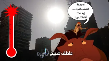 الجو اليوم شديد الحرارة.. والأرصاد: الحرارة المحسوسة تصل إلى 47 في أسوان و43 في القاهرة