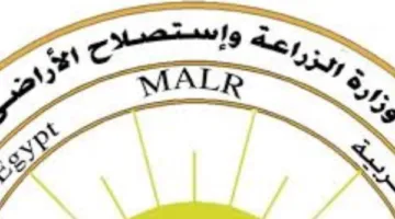 البطاطس المصرية تعبر إلى الأسواق الأوروبية.. خبير زراعي: التسهيلات الأوروبية تعكس استثمارًا استراتيجيًا وثقة متزايدة في المنتجات الزراعية المصرية