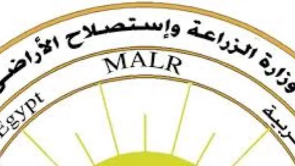 البطاطس المصرية تعبر إلى الأسواق الأوروبية.. خبير زراعي: التسهيلات الأوروبية تعكس استثمارًا استراتيجيًا وثقة متزايدة في المنتجات الزراعية المصرية