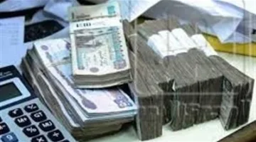 فقط رواتب موظفي الجهاز الإداري للدولة | معلومات إضافية