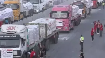 القاهرة الإخبارية: مصر قدمت 80% من المساعدات الواصلة إلى غزة منذ اندلاع الأزمة