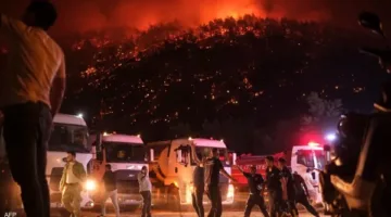 إخلاء 3500 فرد في تركيا نتيجة حرائق الغابات