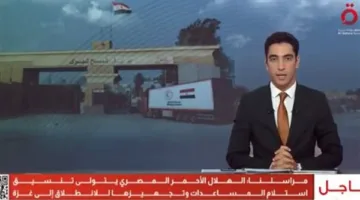 باحث: غزة تحتاج إلى 900 شاحنة مساعدات يوميًا لمدة شهرين لمنع الكارثة
