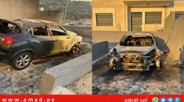 الخارجية الفلسطينية تندد بالاعتداءات التي نفذتها مجموعات المستوطنين الإرهابية على الطيبة
