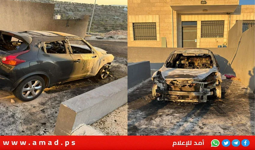 الخارجية الفلسطينية تندد بالاعتداءات التي نفذتها مجموعات المستوطنين الإرهابية على الطيبة الخارجية الفلسطينية تندد بالاعتداءات التي نفذتها مجموعات المستوطنين الإرهابية على الطيبة