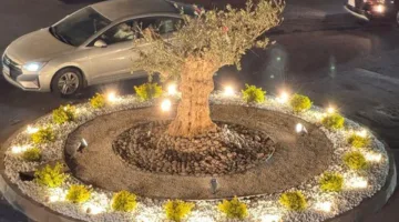 مبادرة مبتكرة في مدينة صور: “مطاعم أبو ديب” و”حلويات الشرق” تت联合 لتجميل المستديرات بالزراعة والإضاءة