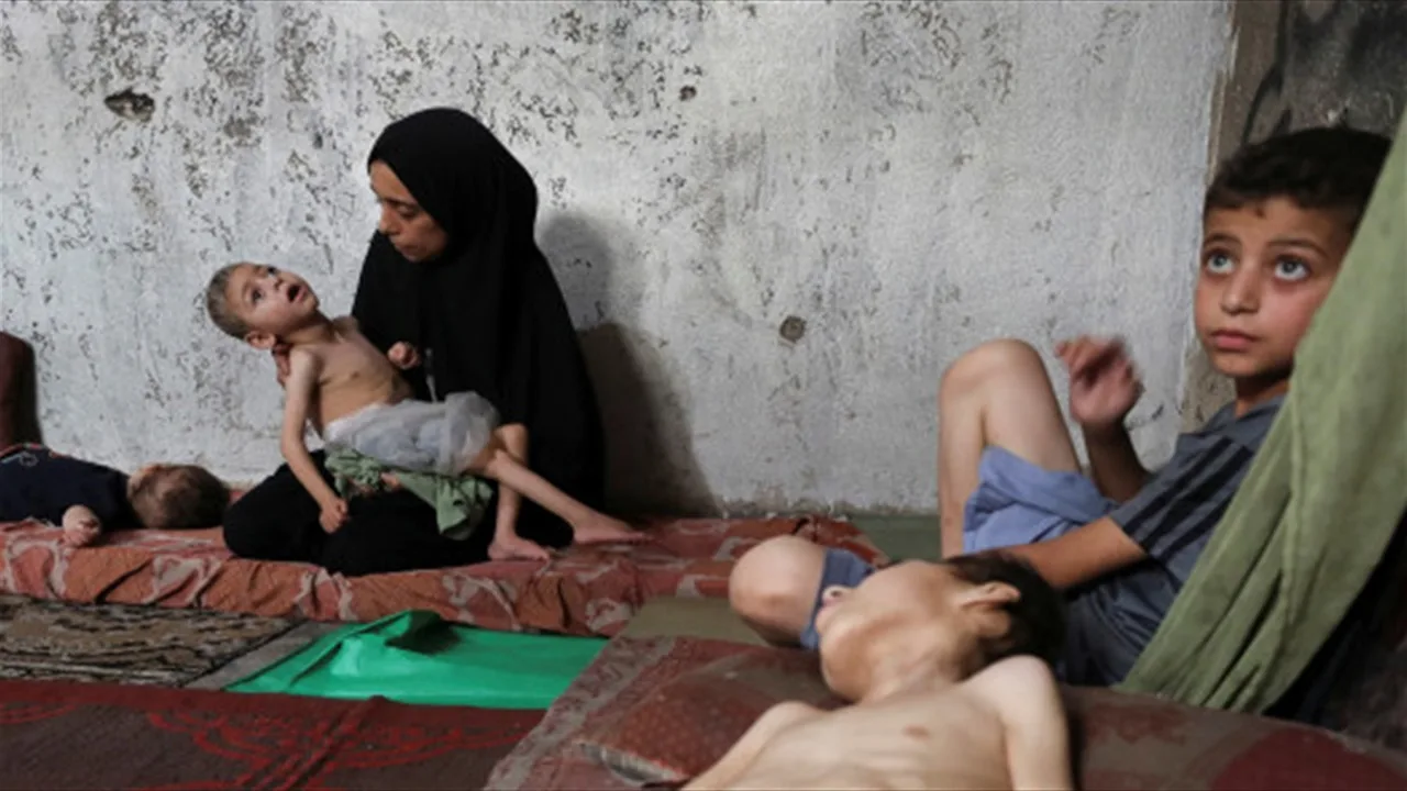 تحذير من أزمة إنسانية في غزة: 40 ألف طفل حديث الولادة مهددون بالموت الآن
