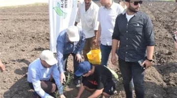 زراعة ألف شتلة زيتون في كلية الزراعة بجامعة بنها