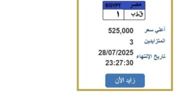 السعر يتجاوز نصف مليون جنيه.. عرض لوحة سيارة فريدة في المزاد