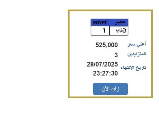 السعر يتجاوز نصف مليون جنيه.. عرض لوحة سيارة فريدة في المزاد