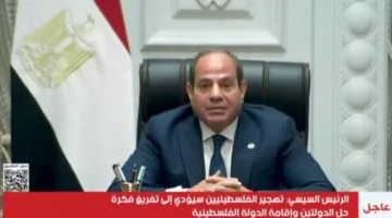 بث حي.. تصريحات الرئيس السيسي بشأن الوضع في غزة