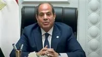الرئيس السيسي: مصر تسعى للوصول إلى حل سلمي للقضية الفلسطينية