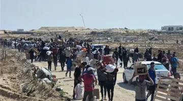 المساعدات الغذائية والعلاجية: مصر توفر شريان الحياة لغزة أثناء اشتعال الحرب (إحصائيات)
