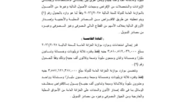 عاجل | توقعات بتحصيل 66.2 مليار من القروض وبيع الأصول، ومنح وزير المالية صلاحيات خاصة