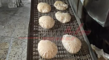 التموين launches extensive campaigns against local bakeries in Kafr El-Sheikh