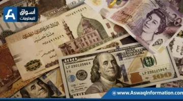 ضبط قضايا تهريب العملات الأجنبية بقيمة 5 ملايين جنيه