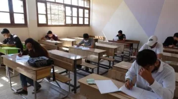 التعليم العالي: بدء تنسيق المرحلة الأولى لعلمي علوم 2025 عند 293 درجة بالنظام الحديث و350 بالقديم