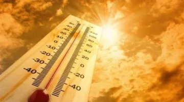 درجات حرارة العراق تصل إلى 63 مئوية وظل البصرة يتجاوز نصف درجة الغليان.