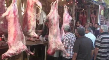 سعر اللحوم في مصر اليوم الاثنين: انخفاض غير متوقع أم استمرارية؟