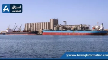 ميناء دمياط يستقبل 19.6 ألف طن من القمح الكندي لمصلحة القطاع الخاص