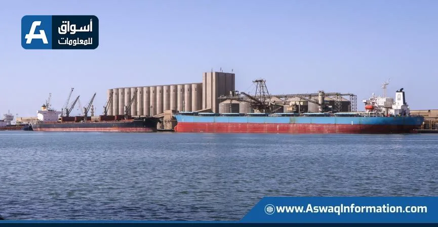ميناء دمياط يستقبل 19.6 ألف طن من القمح الكندي لمصلحة القطاع الخاص