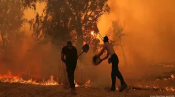 حرائق عنيفة تجتاح غابات اليونان والآلاف يتركون منازلهم.